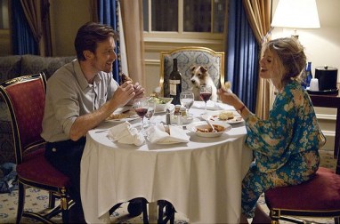 beginners dog eating