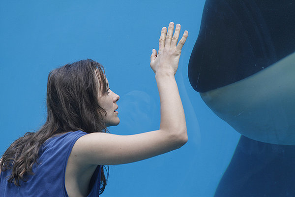 Rust and Bone killer whale