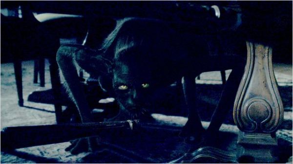 022388_jpg-r_640_600-b_1_D6D6D6-f_jpg-q_x-xxyxx