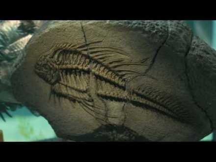 piranha-3d-christopher-lloyd-fossil