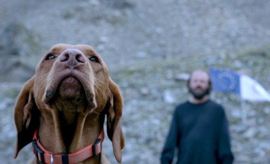 Blood-glacier-the-station-news