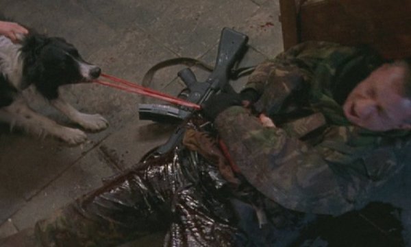 Dog Soldiers gore