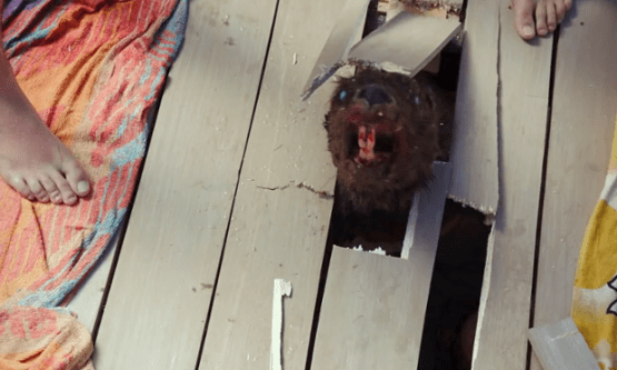 ca9a386c-8e18-4554-993b-1da2132cfaf4-620x372