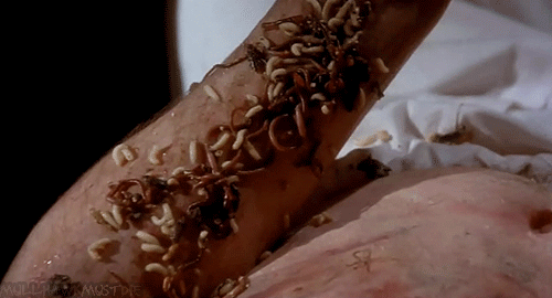 tumblr_m327r0ctq41r0f4y1o2_500