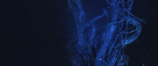 5559716_movie-review-harbinger-down_9e85b242_m