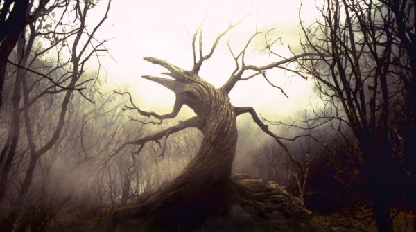 sleepy hollow tree
