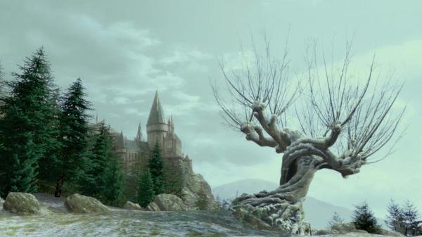 Whomping willow