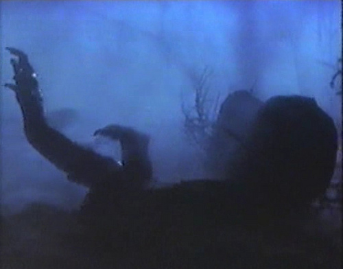 8354538090_5fe3ae8a5b