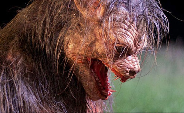 latephases_dvdreview_splash650