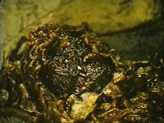 tumblr_my4365aQQk1t5b5qeo1_400