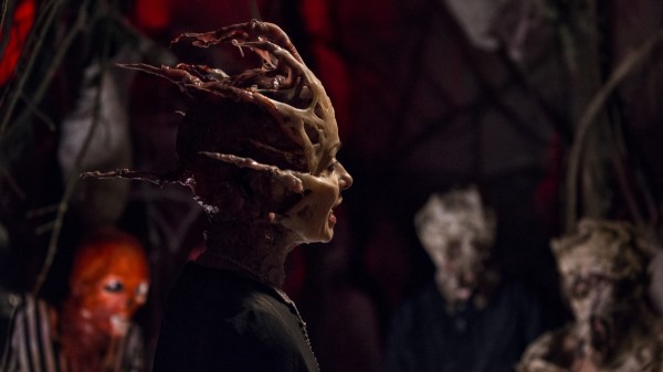 cherrytree-stills-154-1200x675