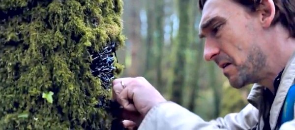 The Hallow (2015) Full Movie Download HDRip 400MB English brrmovies4u hollywood Movies 2