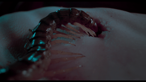 vlcsnap-2016-04-05-20h00m38s922