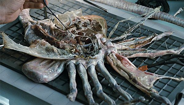 a0d0c193491f7851b37800887f7dc848