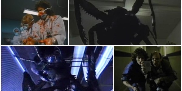 Blue-Monkey-1987-660x330