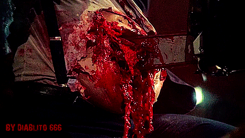 tumblr_n15vpuH2FT1rp0vkjo2_500