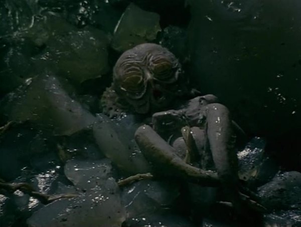 1309991__vlcsnap_439249