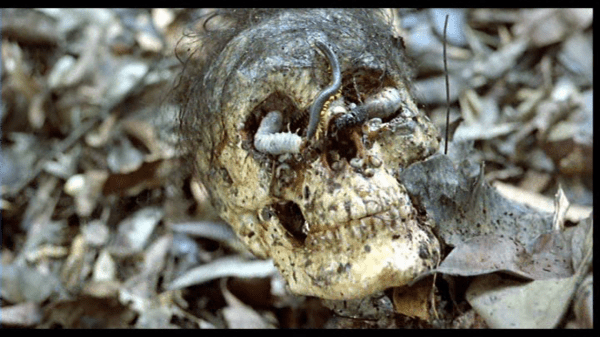 tumblr_nvi4s47RzV1u00fzso4_1280