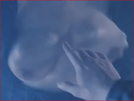 night-of-the-demons2-04