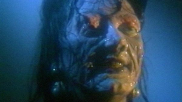 nightfeeder1_758_426_81_s_c1