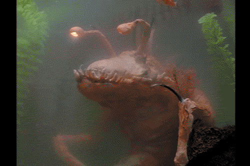 tumblr_o2j7wuuxip1umk4ogo1_500