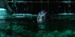Doug Jones The Shape of Water&nbsp;creature